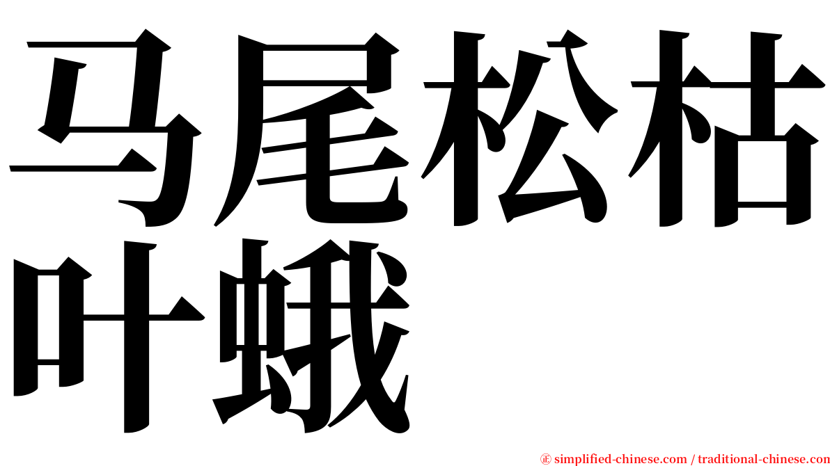 马尾松枯叶蛾 serif font