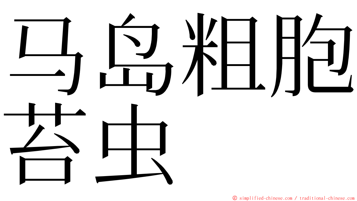 马岛粗胞苔虫 ming font