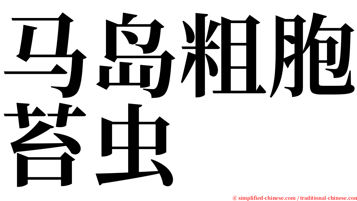 马岛粗胞苔虫 serif font