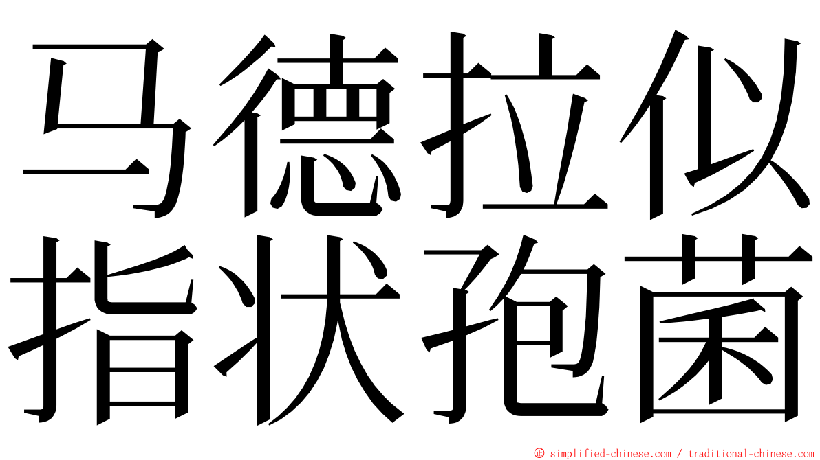 马德拉似指状孢菌 ming font