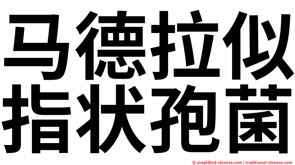 马德拉似指状孢菌