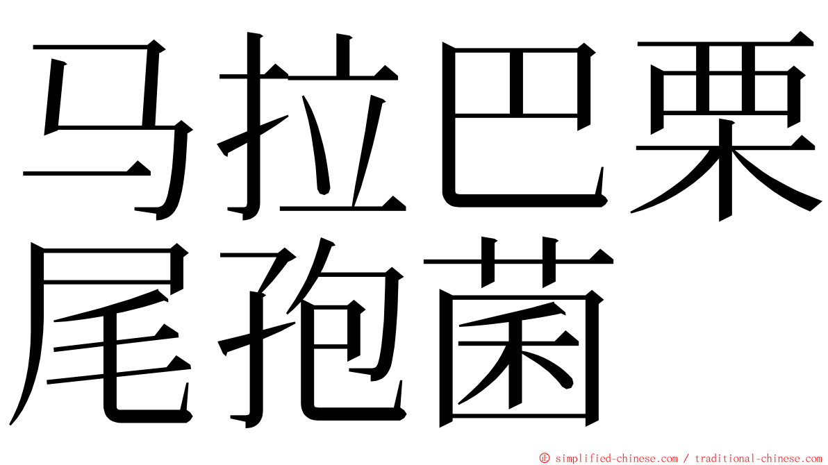 马拉巴栗尾孢菌 ming font