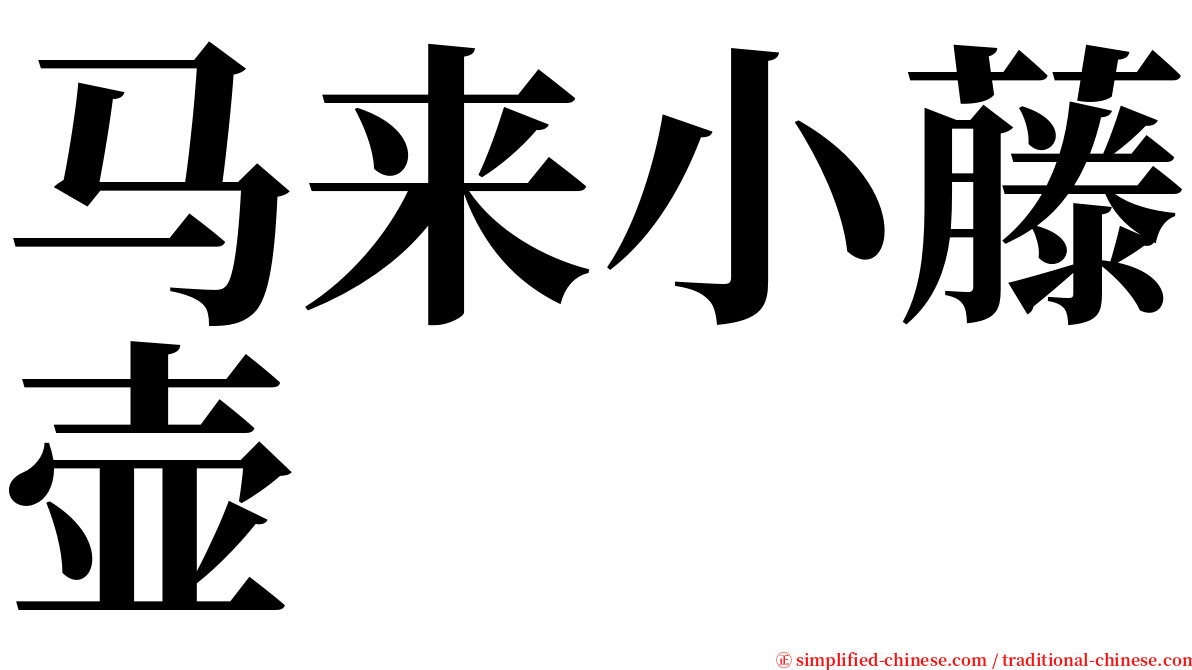 马来小藤壶 serif font