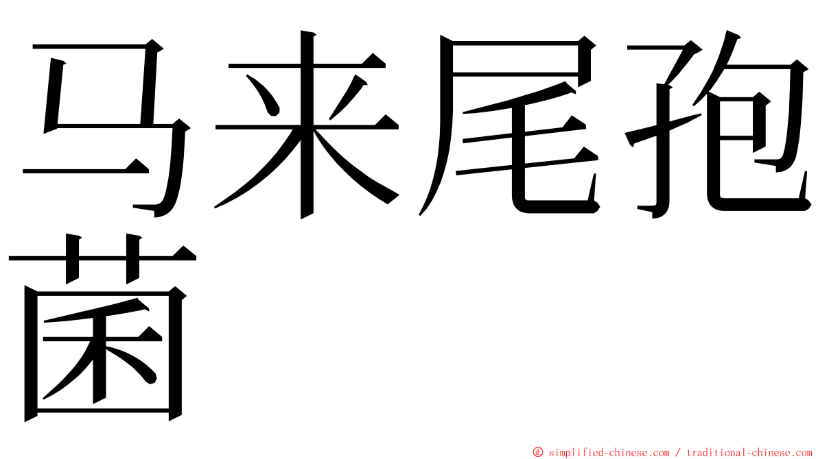 马来尾孢菌 ming font