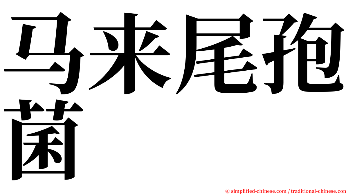 马来尾孢菌 serif font