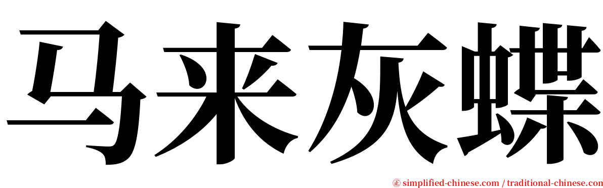 马来灰蝶 serif font