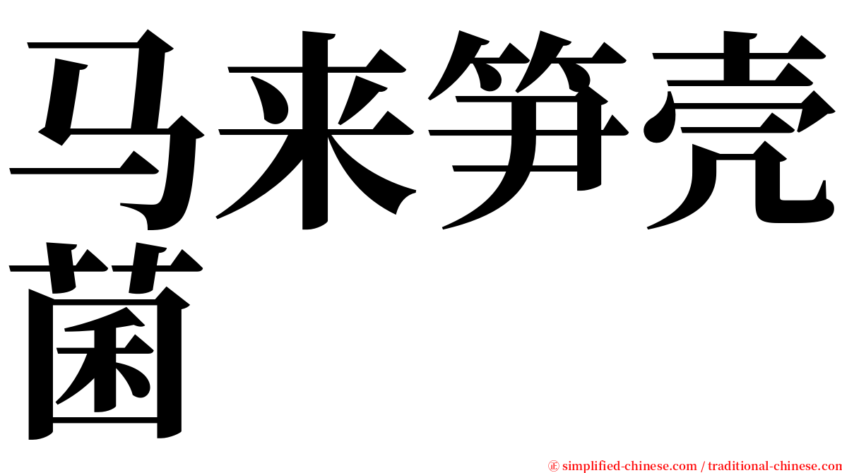 马来笋壳菌 serif font