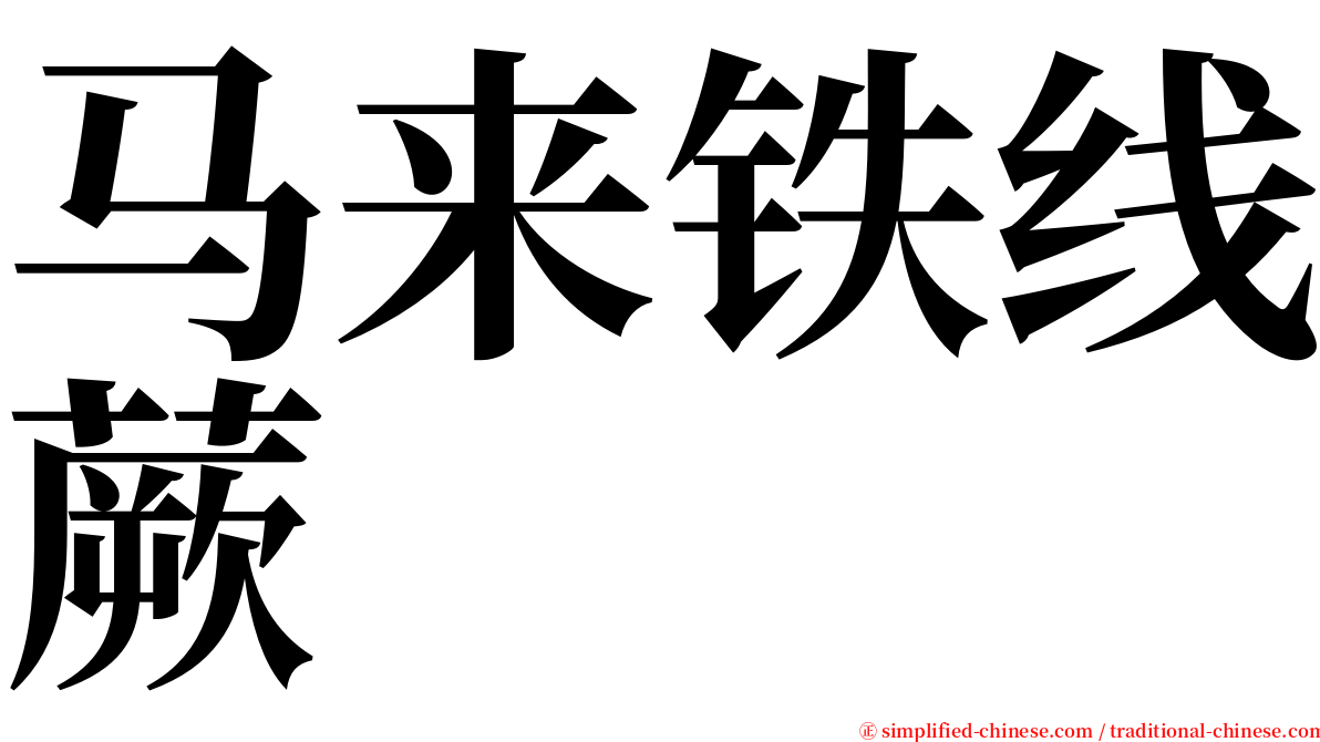 马来铁线蕨 serif font