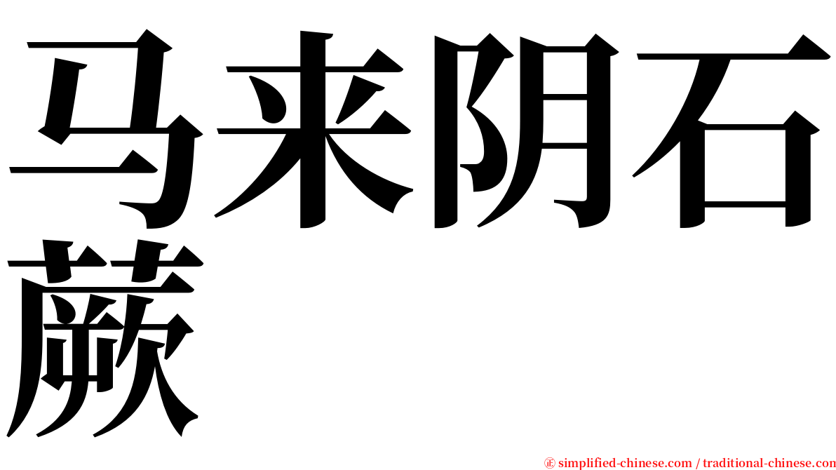 马来阴石蕨 serif font