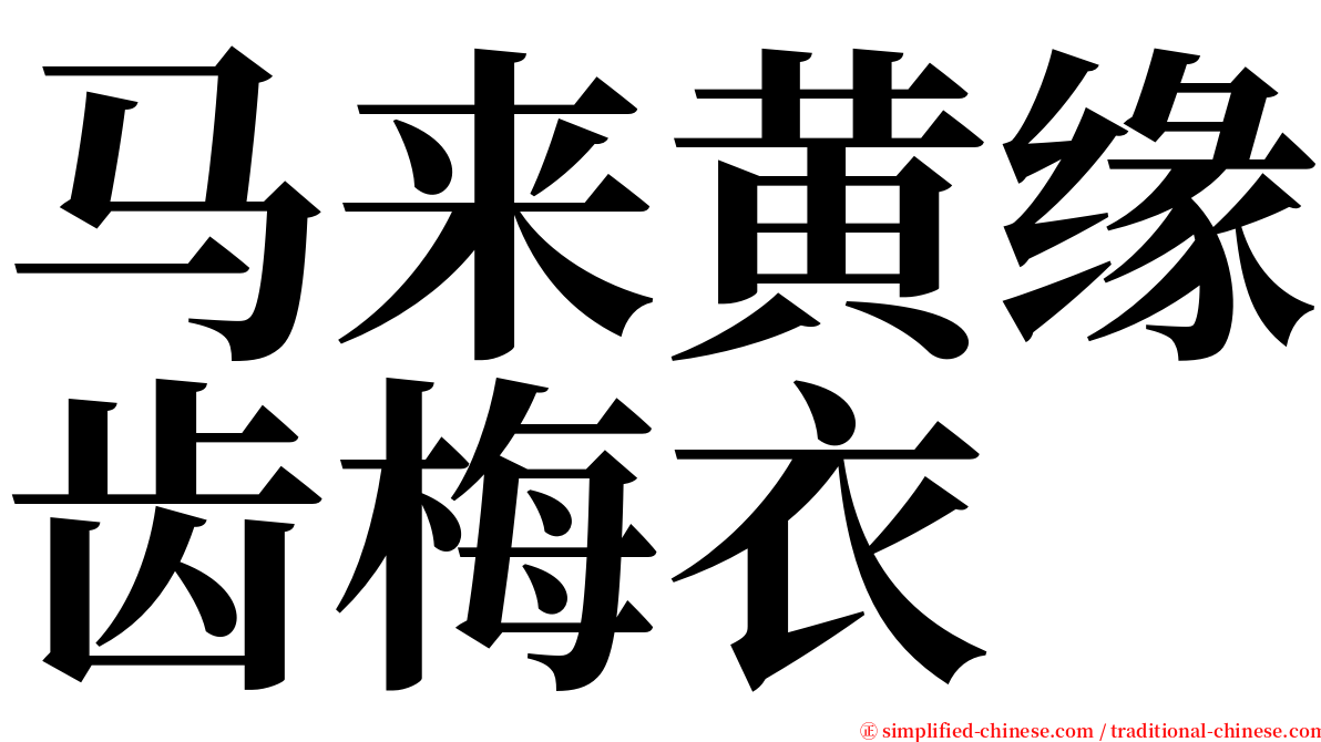 马来黄缘齿梅衣 serif font