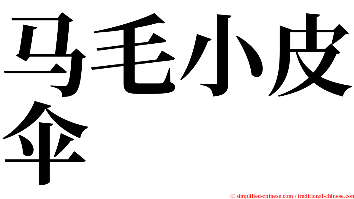 马毛小皮伞 serif font