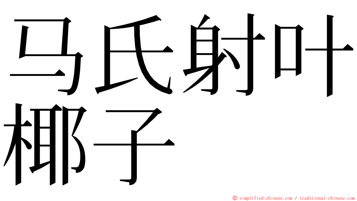 马氏射叶椰子 ming font