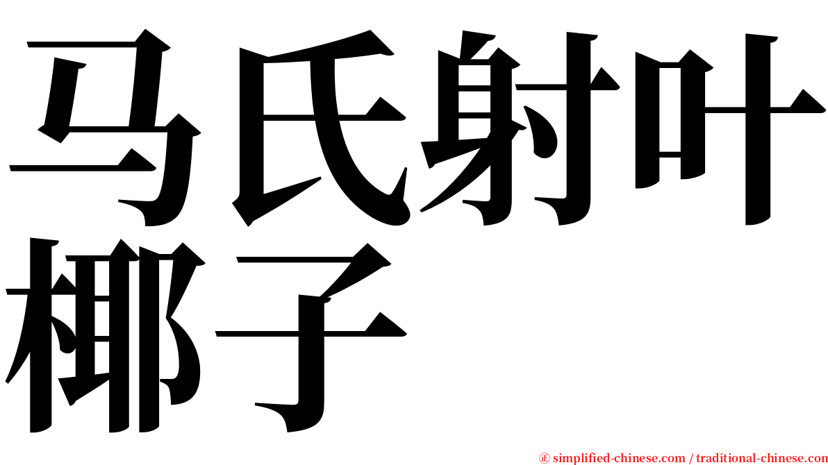 马氏射叶椰子 serif font