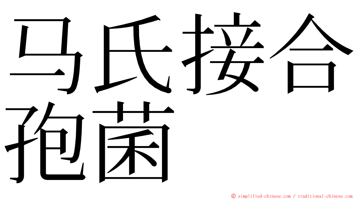 马氏接合孢菌 ming font