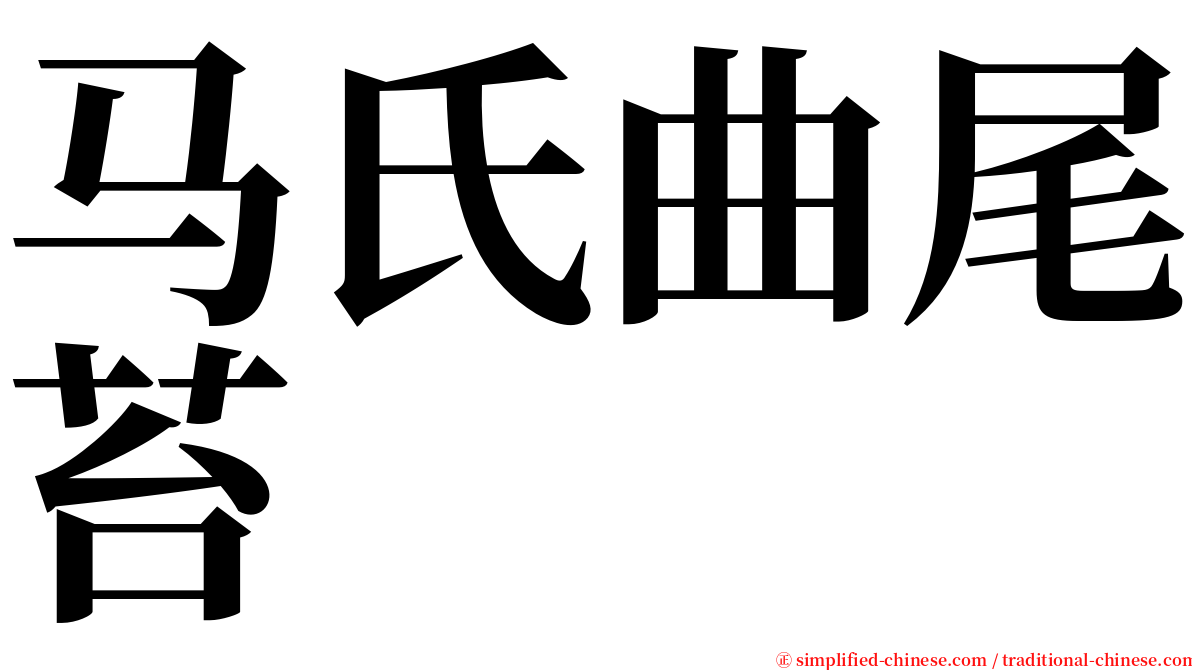 马氏曲尾苔 serif font