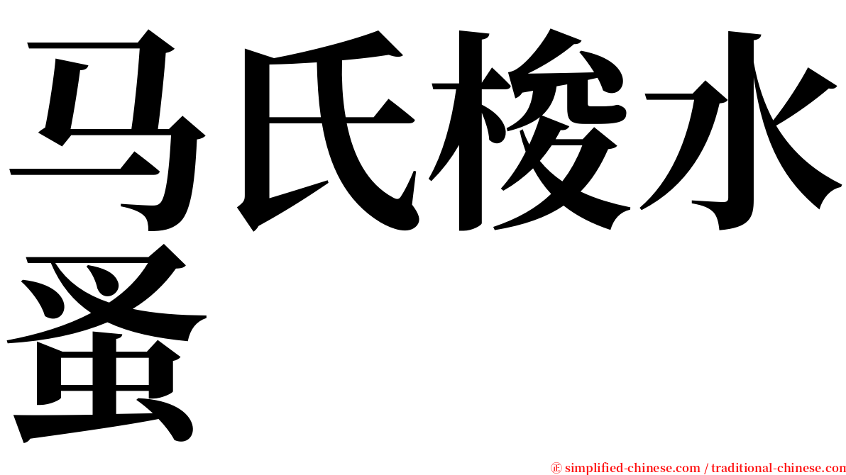 马氏梭水蚤 serif font