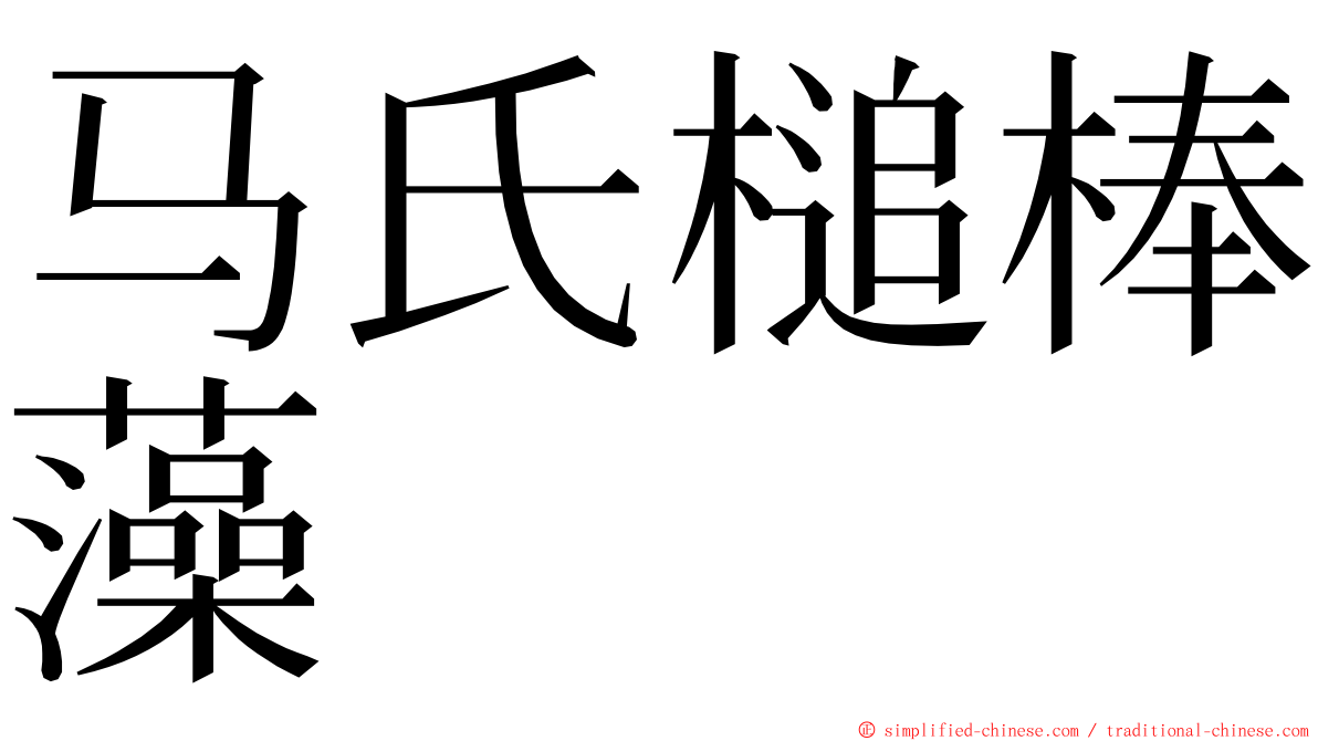 马氏槌棒藻 ming font