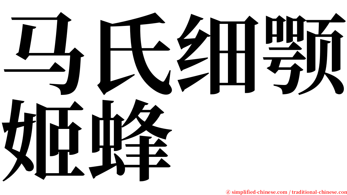 马氏细颚姬蜂 serif font