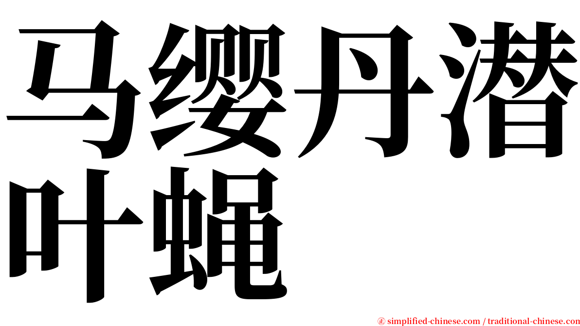 马缨丹潜叶蝇 serif font