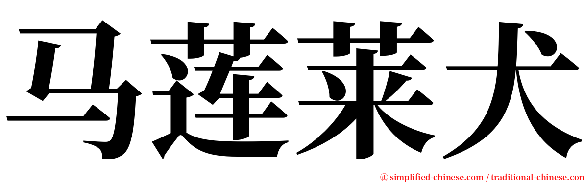 马莲莱犬 serif font