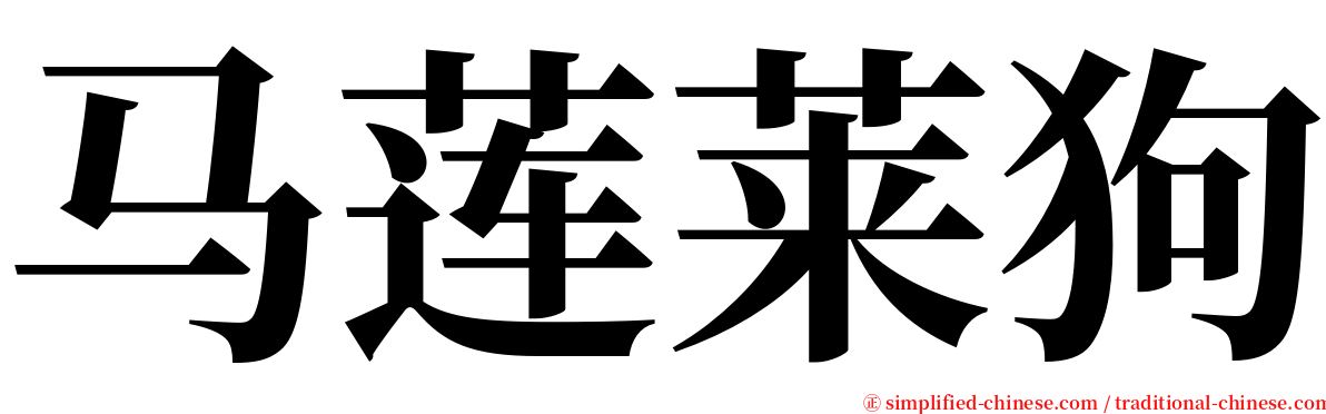 马莲莱狗 serif font