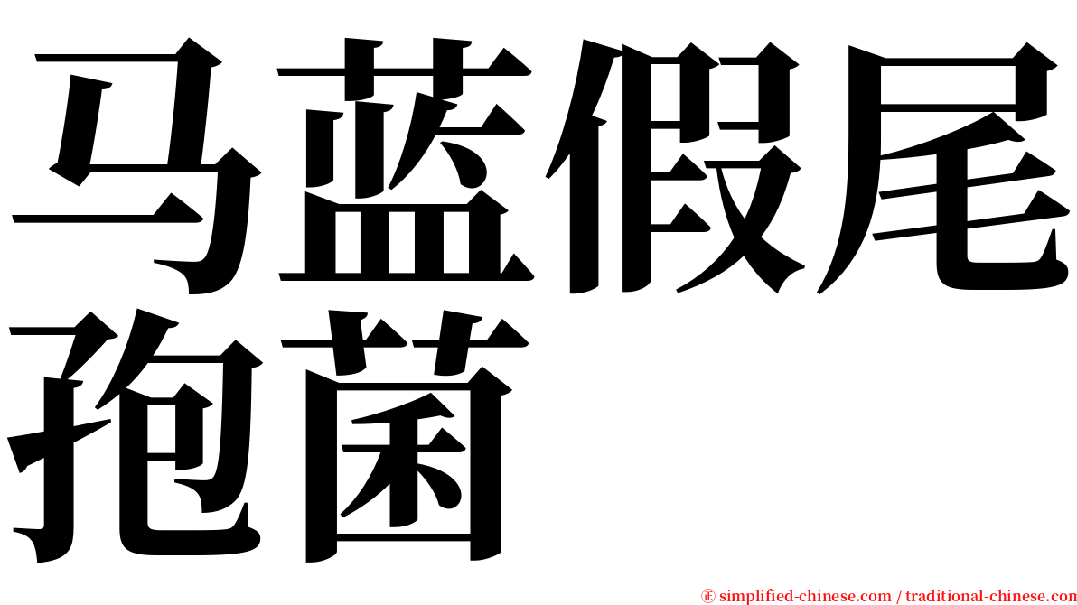 马蓝假尾孢菌 serif font