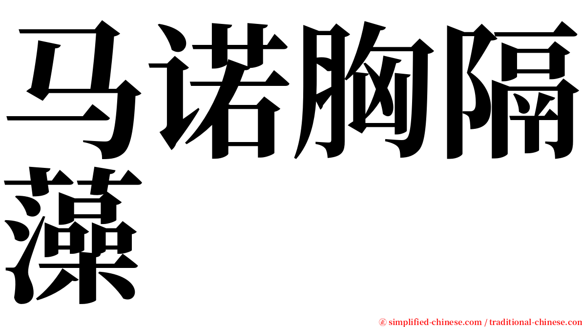 马诺胸隔藻 serif font