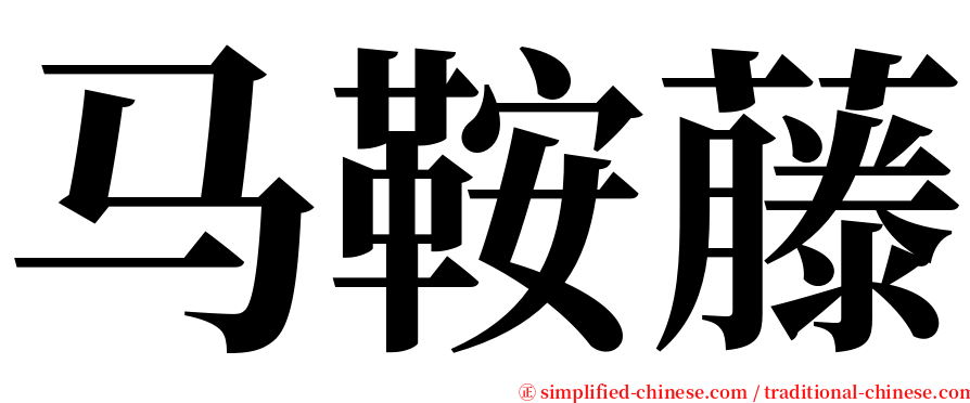 马鞍藤 serif font