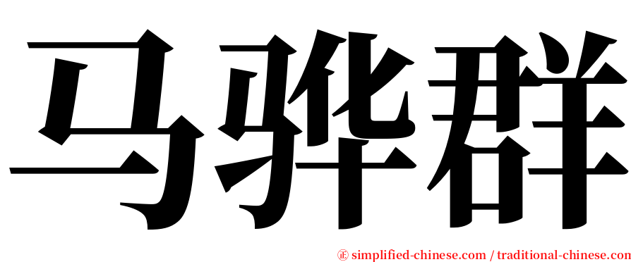 马骅群 serif font