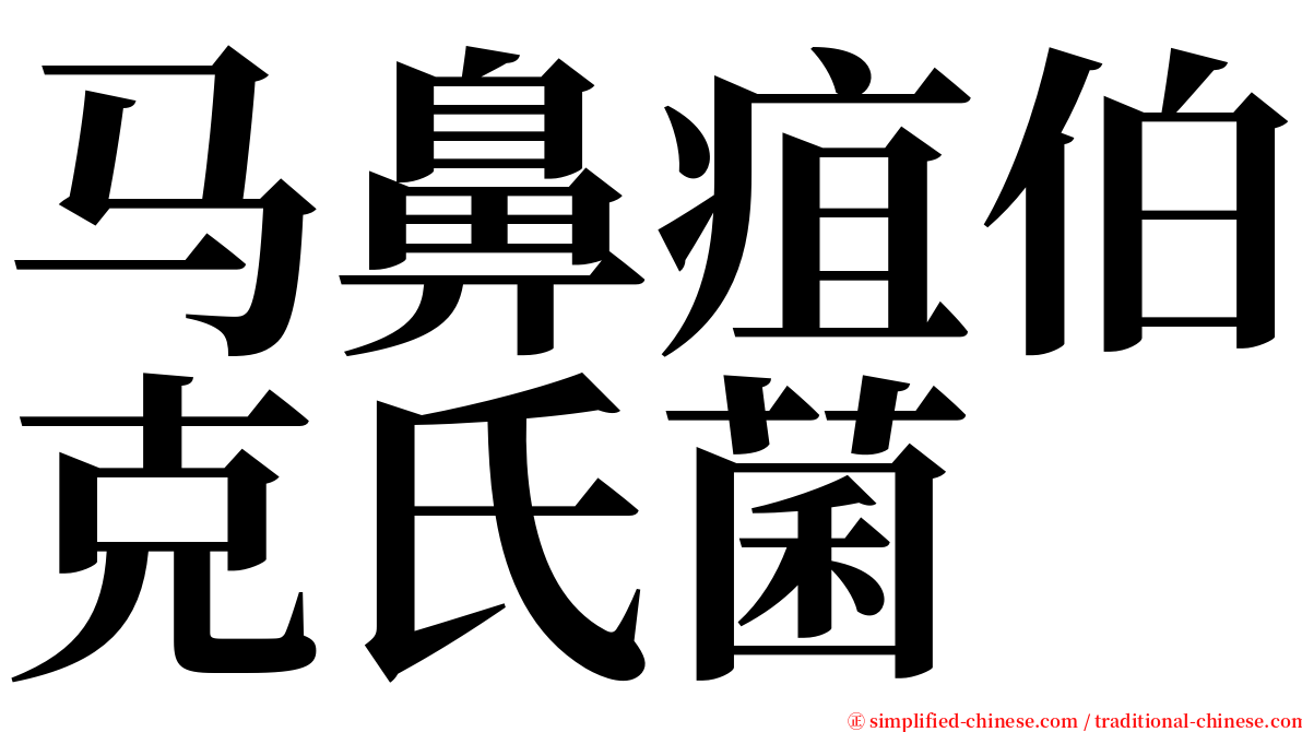 马鼻疽伯克氏菌 serif font