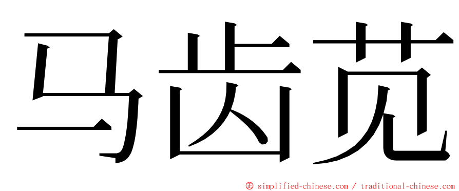 马齿苋 ming font