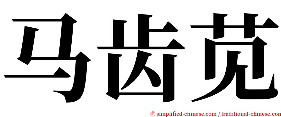 马齿苋 serif font