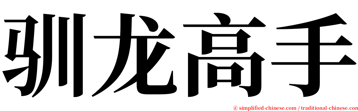 驯龙高手 serif font