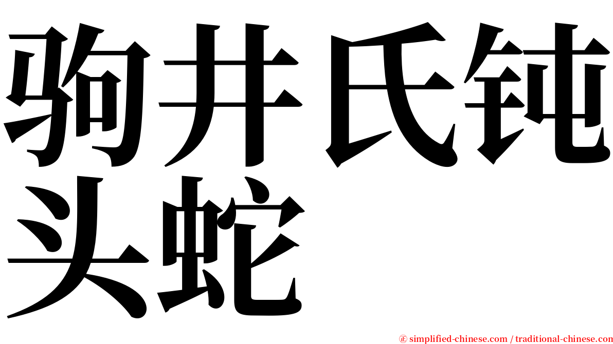 驹井氏钝头蛇 serif font