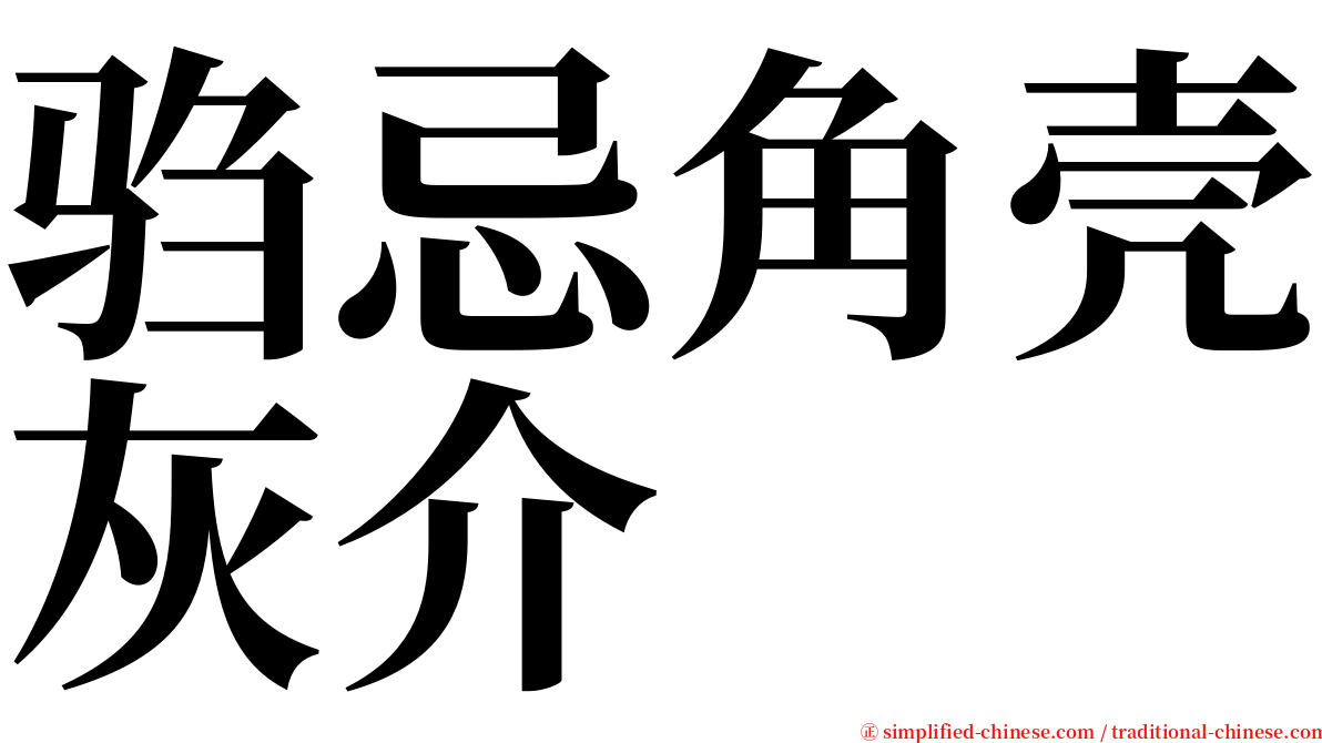 驺忌角壳灰介 serif font