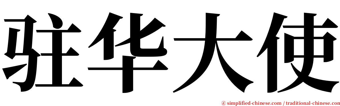 驻华大使 serif font