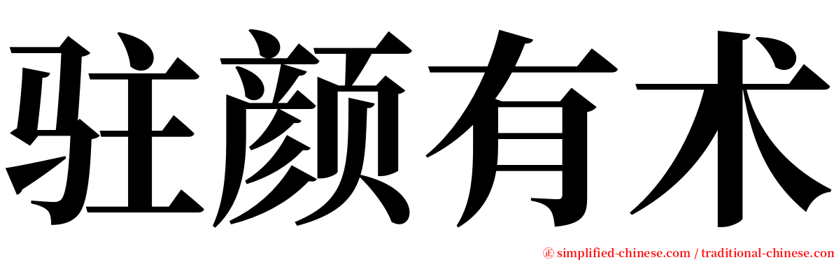 驻颜有术 serif font