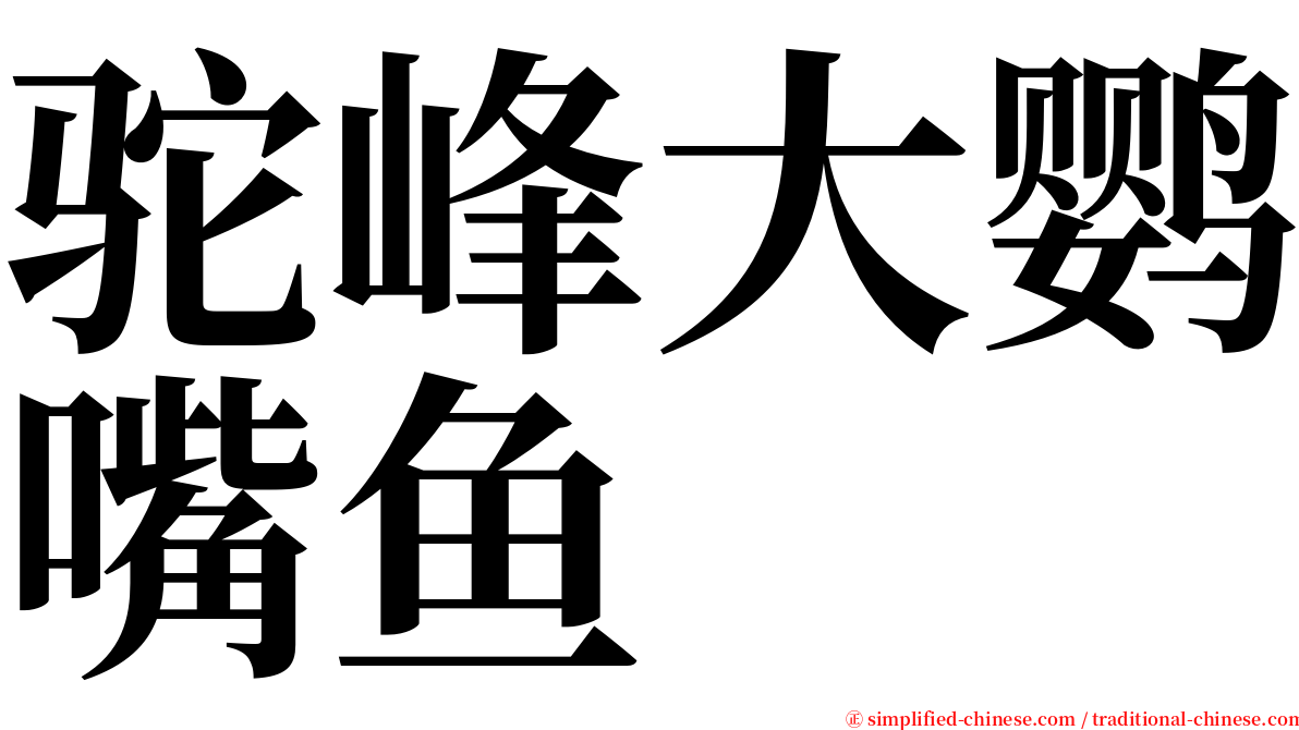 驼峰大鹦嘴鱼 serif font