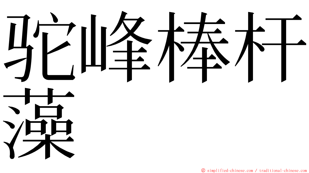 驼峰棒杆藻 ming font