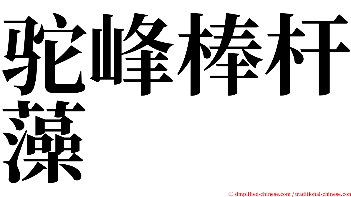 驼峰棒杆藻 serif font