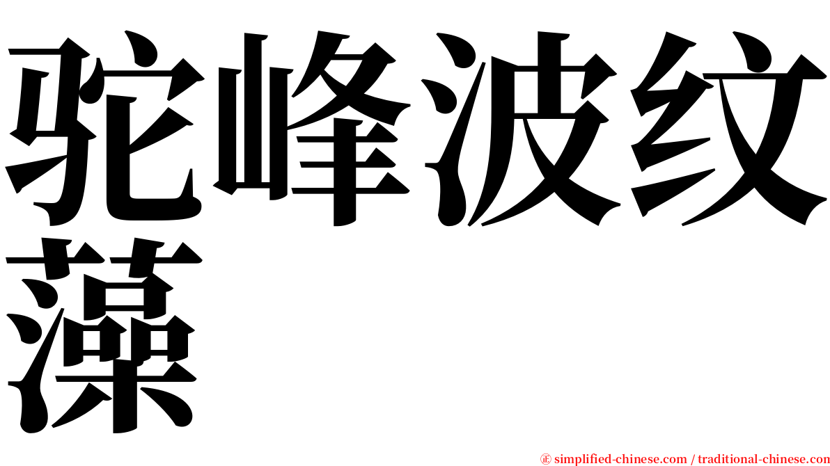 驼峰波纹藻 serif font