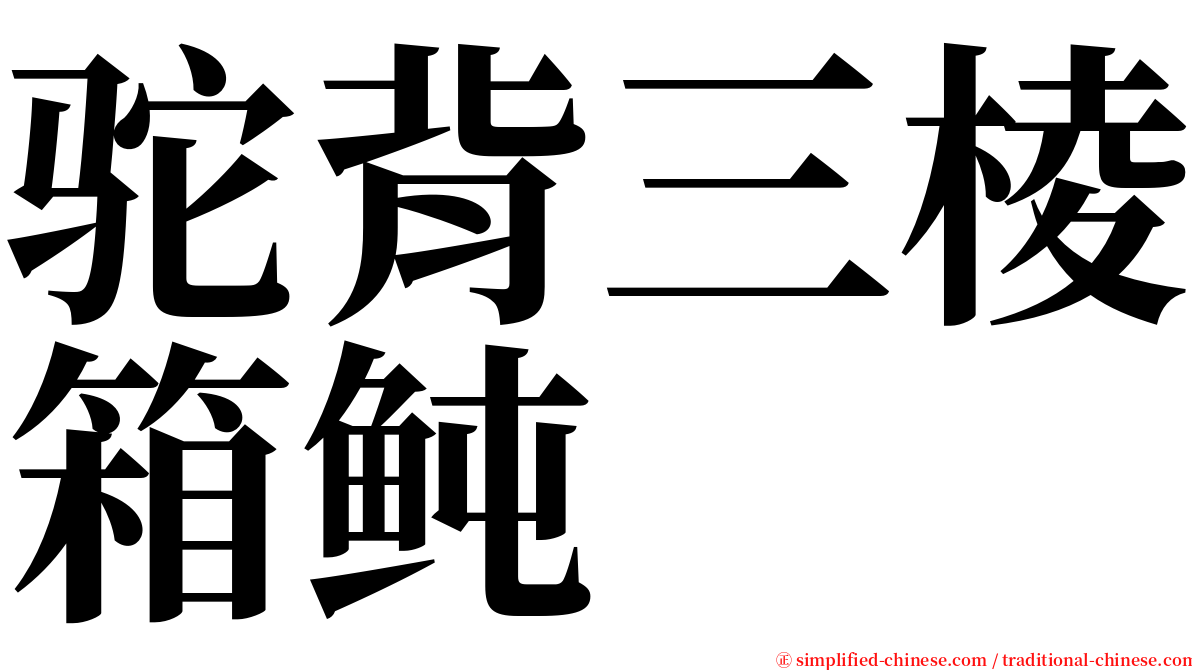 驼背三棱箱鲀 serif font