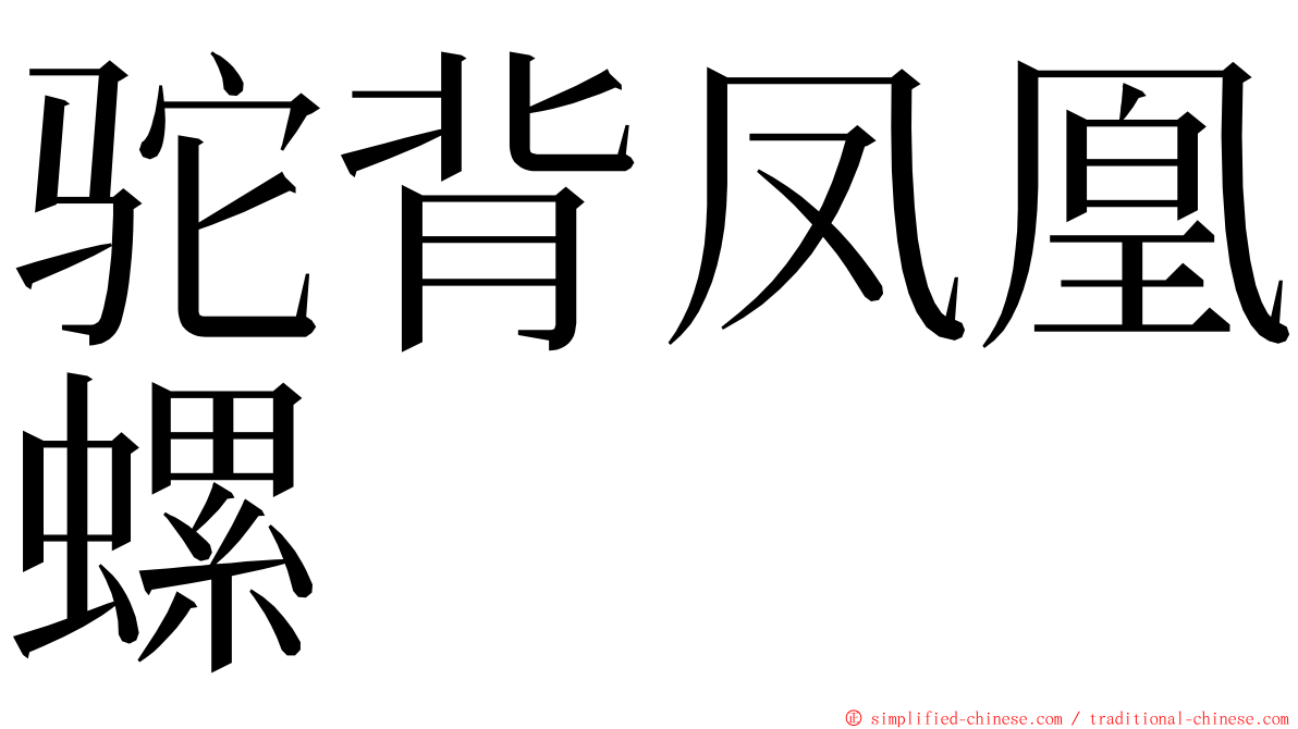 驼背凤凰螺 ming font