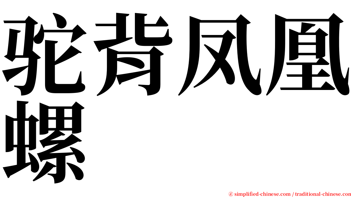 驼背凤凰螺 serif font