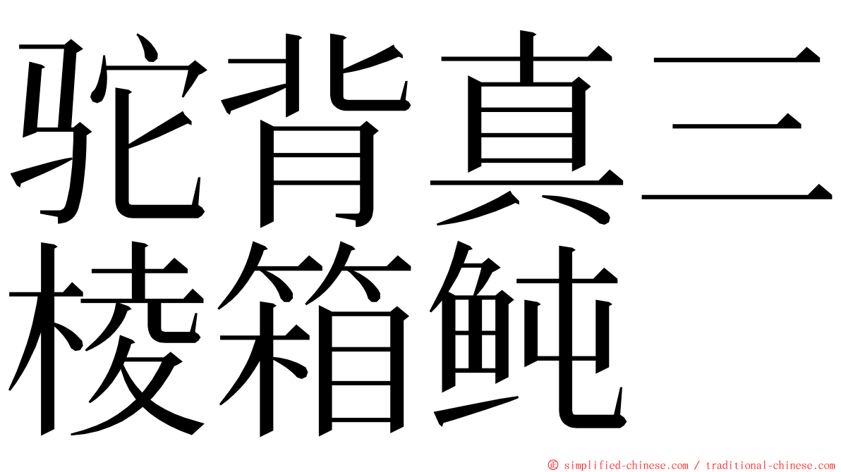 驼背真三棱箱鲀 ming font