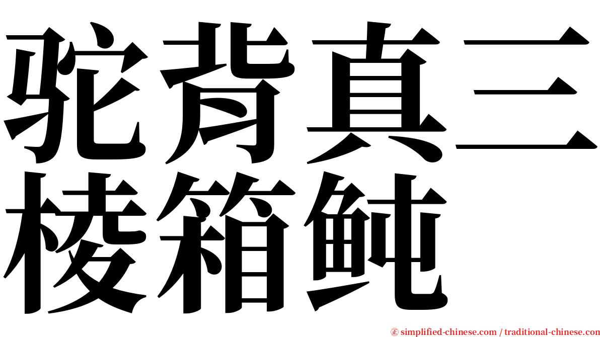 驼背真三棱箱鲀 serif font