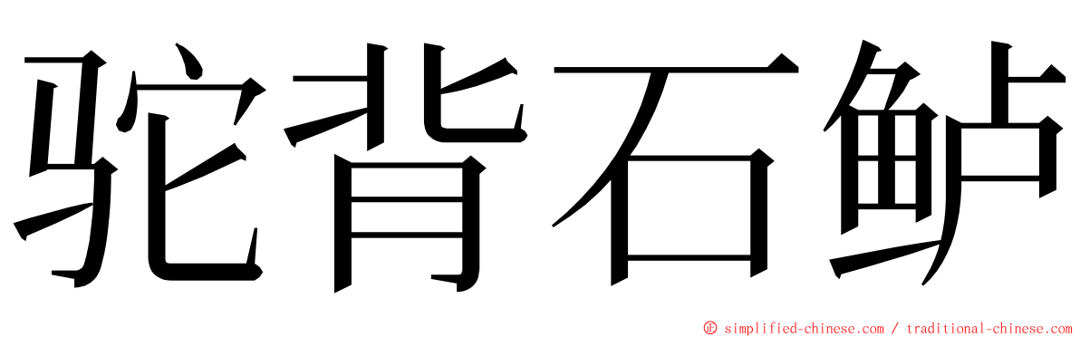 驼背石鲈 ming font