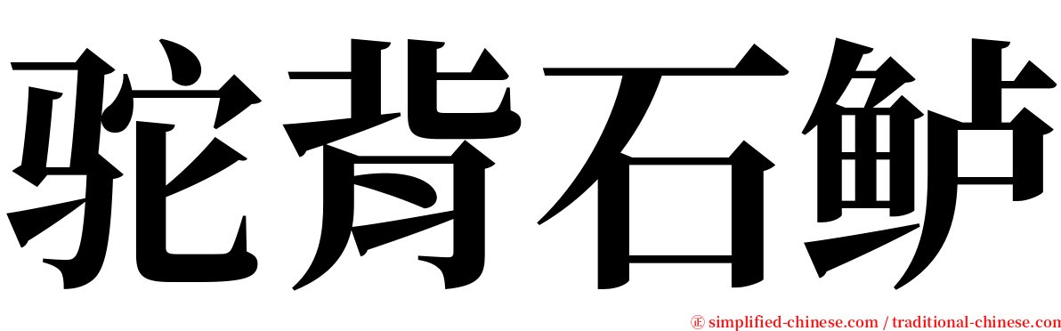 驼背石鲈 serif font