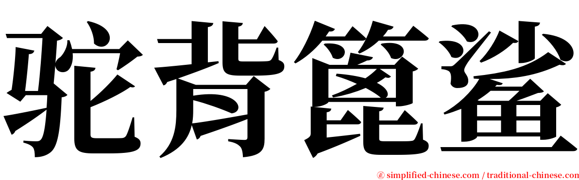 驼背篦鲨 serif font