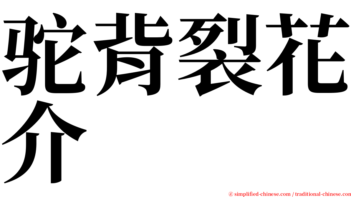 驼背裂花介 serif font